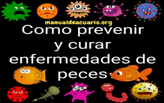 Prevenir y curar enfermedades