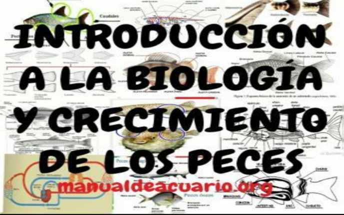 INTRODUCCIÓN A LA BIOLOGÍA Y CRECIMIENTO DE LOS PECES