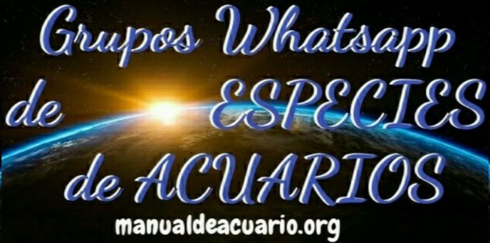 Grupos Whatsapp de especies de acuarios 1