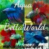 Aqua betta world