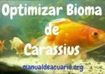 Optimizar bioma de Carassius