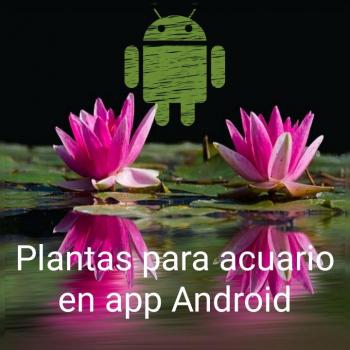 Plantas para acuario en aplicación Android